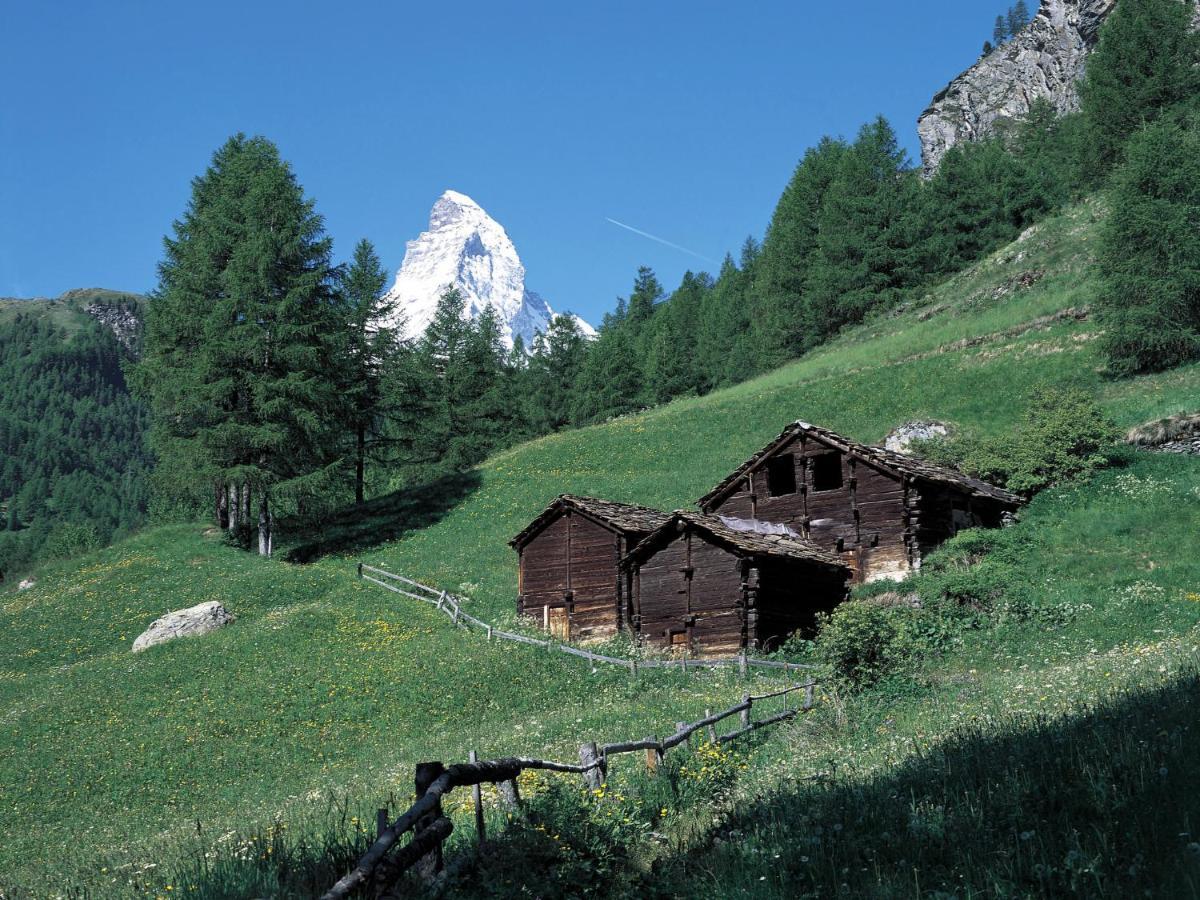 Apartment Aquila By Interhome Zermatt Eksteriør billede